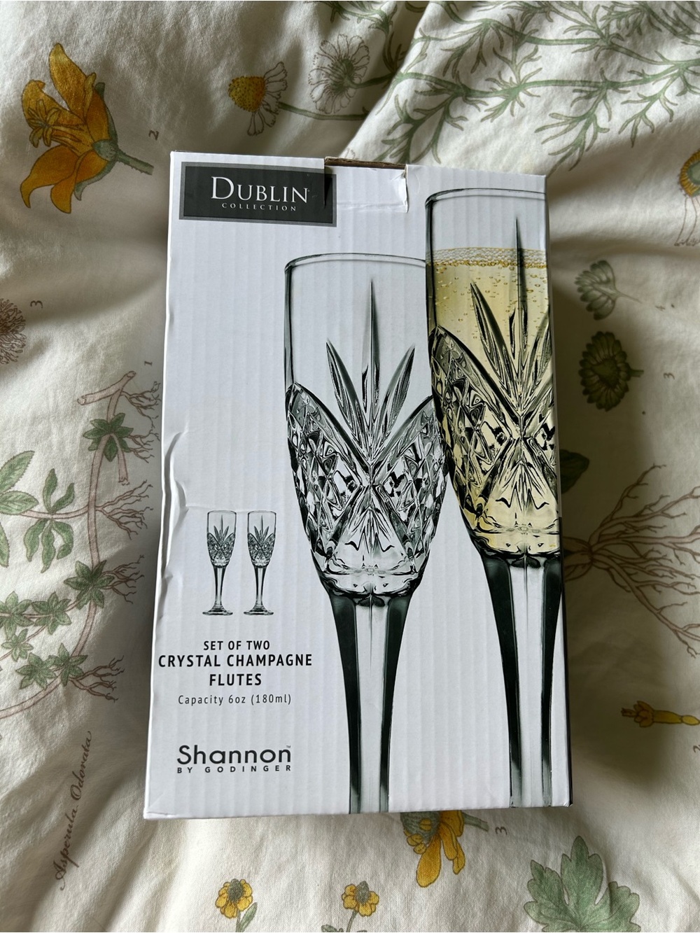 Shannon Crystal Champagne Flutes - Clear (Set of 2)